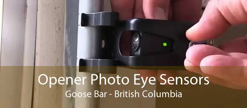 Opener Photo Eye Sensors Goose Bar - British Columbia