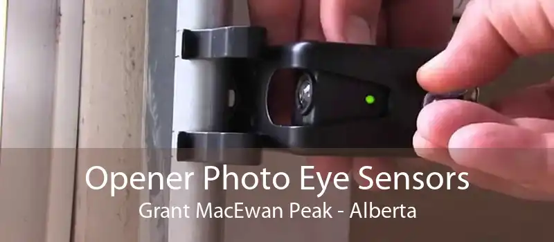 Opener Photo Eye Sensors Grant MacEwan Peak - Alberta