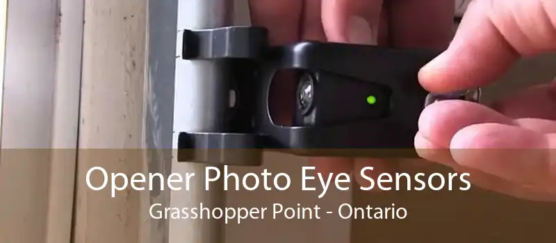 Opener Photo Eye Sensors Grasshopper Point - Ontario