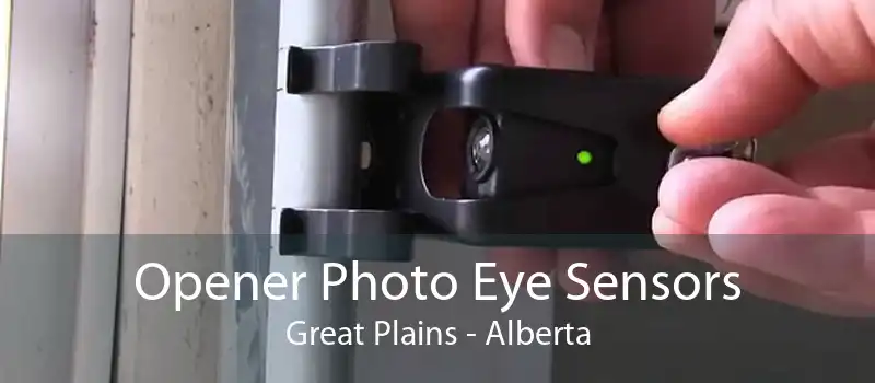 Opener Photo Eye Sensors Great Plains - Alberta