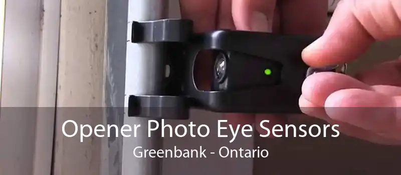 Opener Photo Eye Sensors Greenbank - Ontario