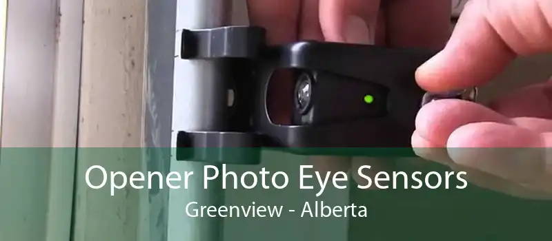 Opener Photo Eye Sensors Greenview - Alberta