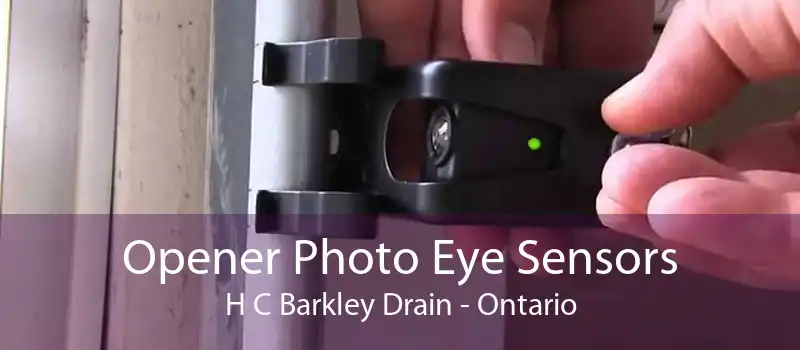 Opener Photo Eye Sensors H C Barkley Drain - Ontario