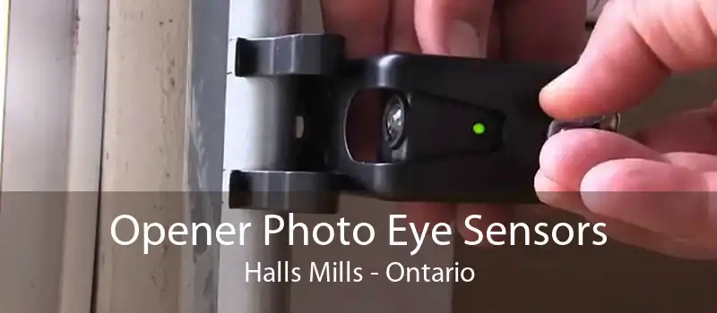 Opener Photo Eye Sensors Halls Mills - Ontario