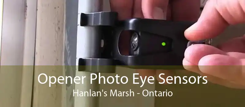 Opener Photo Eye Sensors Hanlan's Marsh - Ontario