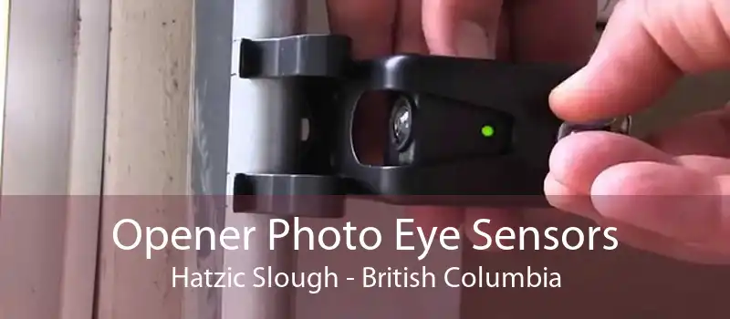 Opener Photo Eye Sensors Hatzic Slough - British Columbia