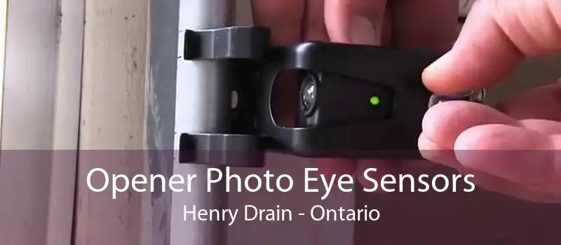 Opener Photo Eye Sensors Henry Drain - Ontario