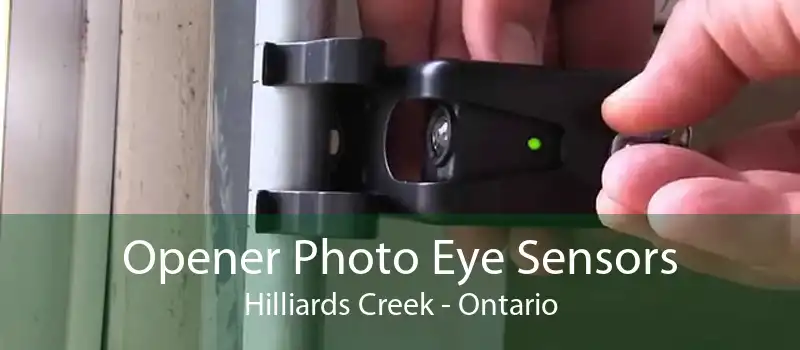 Opener Photo Eye Sensors Hilliards Creek - Ontario