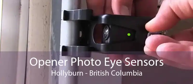 Opener Photo Eye Sensors Hollyburn - British Columbia
