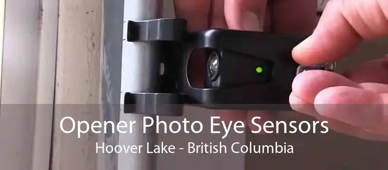 Opener Photo Eye Sensors Hoover Lake - British Columbia
