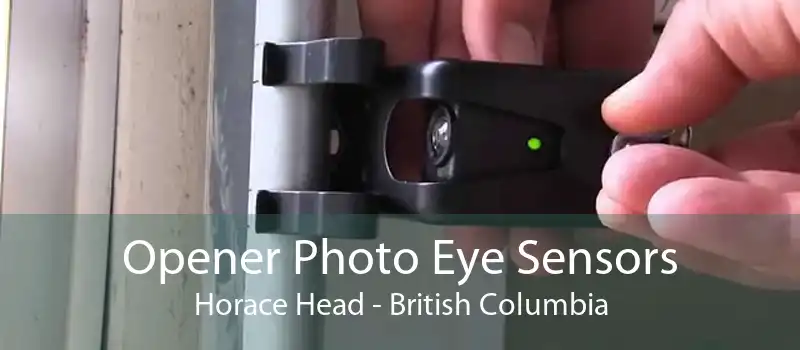 Opener Photo Eye Sensors Horace Head - British Columbia