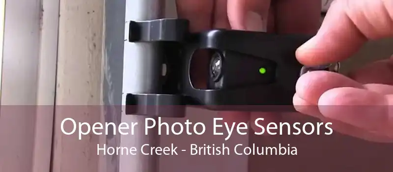 Opener Photo Eye Sensors Horne Creek - British Columbia