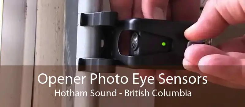 Opener Photo Eye Sensors Hotham Sound - British Columbia