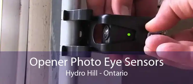 Opener Photo Eye Sensors Hydro Hill - Ontario