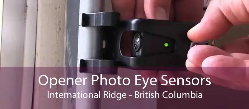 Opener Photo Eye Sensors International Ridge - British Columbia