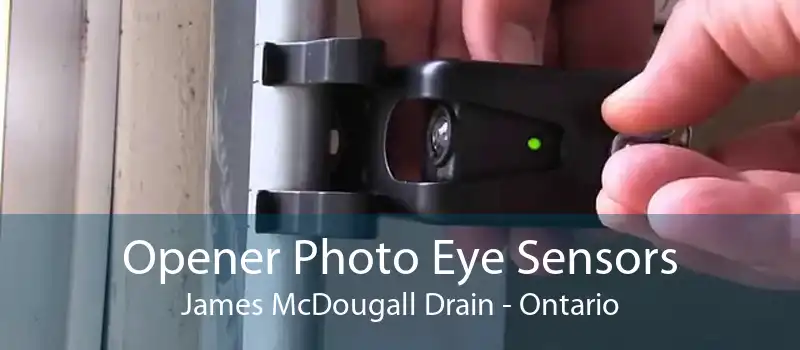 Opener Photo Eye Sensors James McDougall Drain - Ontario