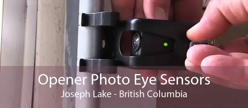 Opener Photo Eye Sensors Joseph Lake - British Columbia