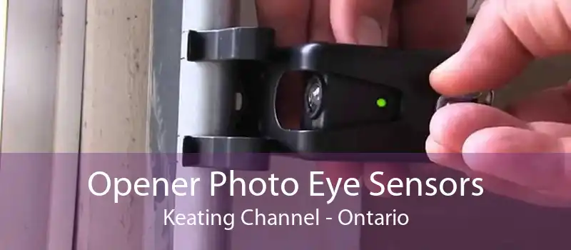 Opener Photo Eye Sensors Keating Channel - Ontario