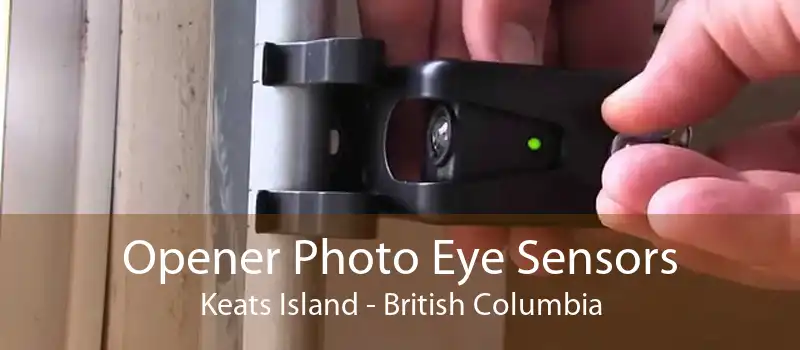 Opener Photo Eye Sensors Keats Island - British Columbia