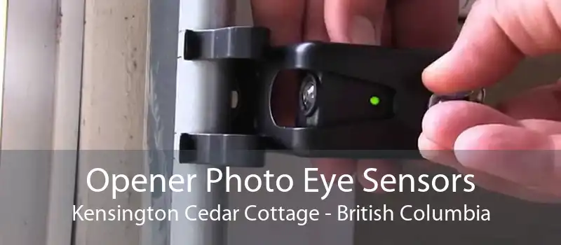 Opener Photo Eye Sensors Kensington Cedar Cottage - British Columbia