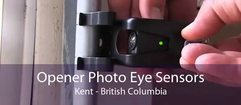 Opener Photo Eye Sensors Kent - British Columbia