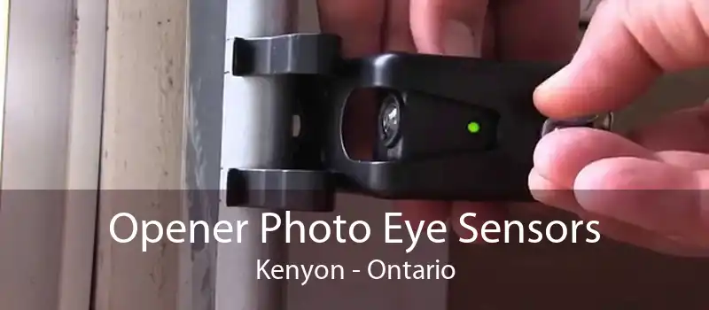 Opener Photo Eye Sensors Kenyon - Ontario