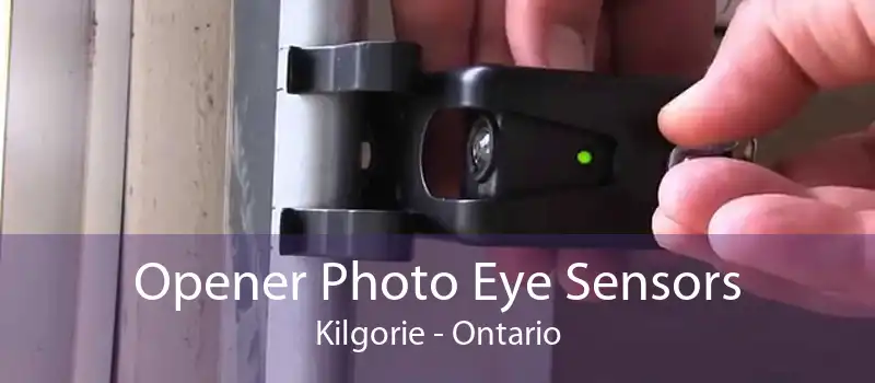 Opener Photo Eye Sensors Kilgorie - Ontario