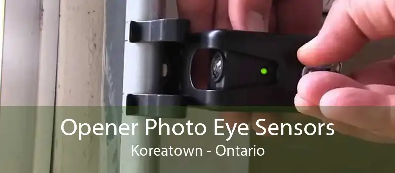 Opener Photo Eye Sensors Koreatown - Ontario