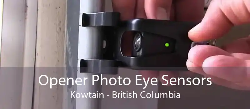 Opener Photo Eye Sensors Kowtain - British Columbia