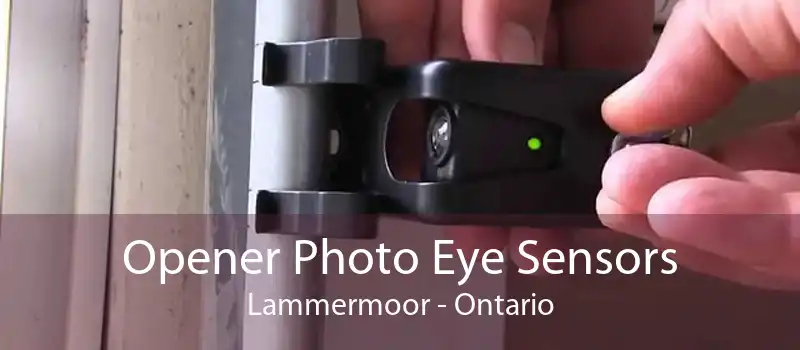 Opener Photo Eye Sensors Lammermoor - Ontario