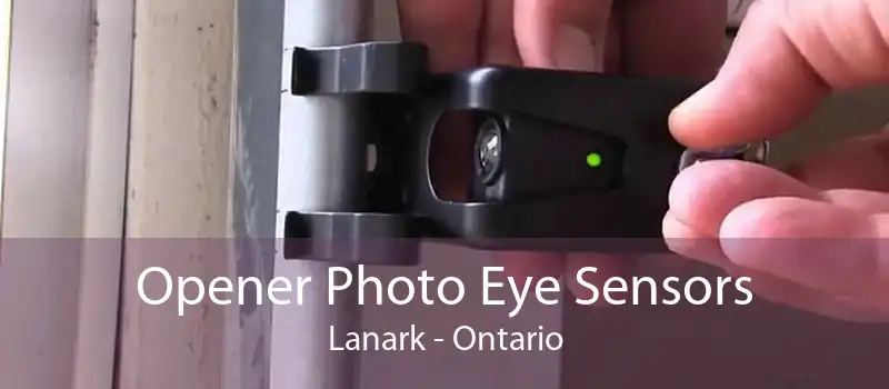 Opener Photo Eye Sensors Lanark - Ontario