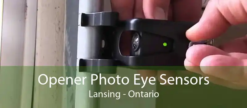 Opener Photo Eye Sensors Lansing - Ontario