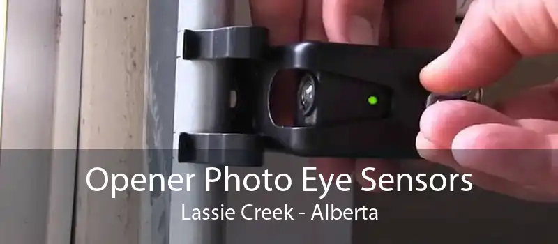 Opener Photo Eye Sensors Lassie Creek - Alberta
