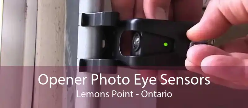 Opener Photo Eye Sensors Lemons Point - Ontario