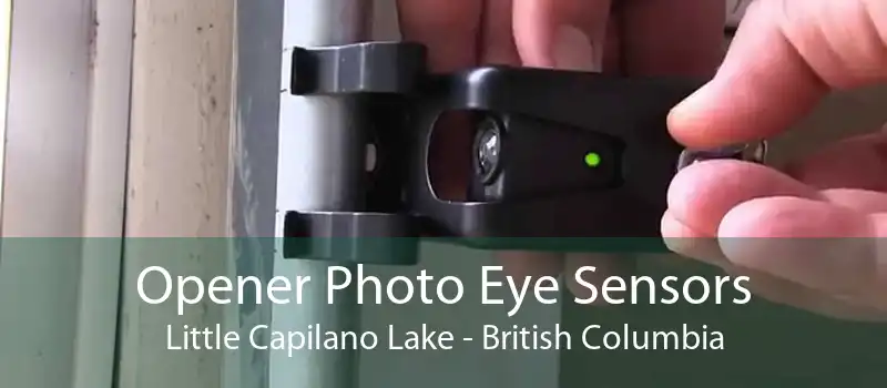 Opener Photo Eye Sensors Little Capilano Lake - British Columbia
