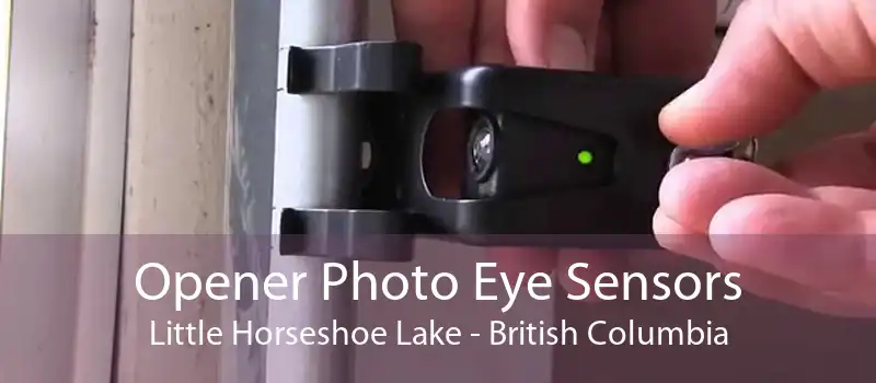 Opener Photo Eye Sensors Little Horseshoe Lake - British Columbia