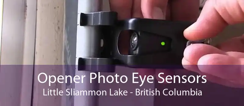 Opener Photo Eye Sensors Little Sliammon Lake - British Columbia