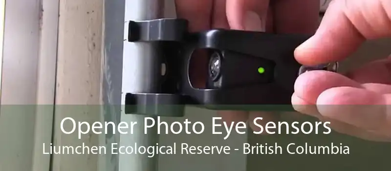Opener Photo Eye Sensors Liumchen Ecological Reserve - British Columbia