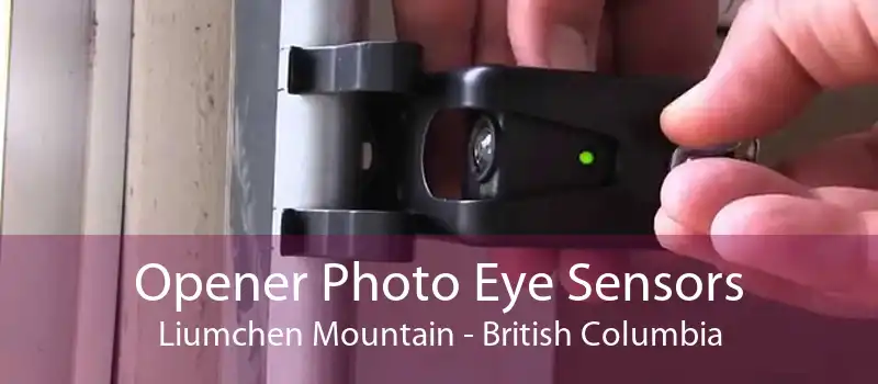 Opener Photo Eye Sensors Liumchen Mountain - British Columbia