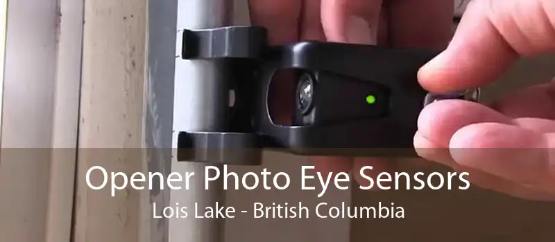 Opener Photo Eye Sensors Lois Lake - British Columbia