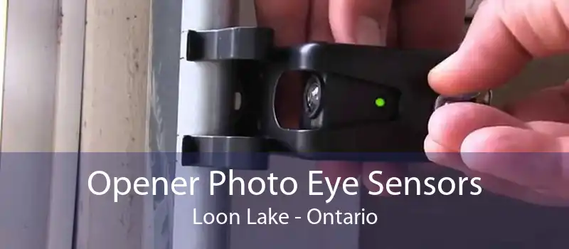 Opener Photo Eye Sensors Loon Lake - Ontario