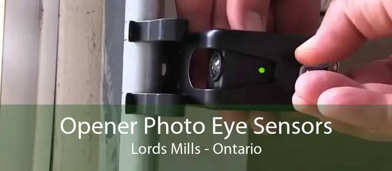 Opener Photo Eye Sensors Lords Mills - Ontario