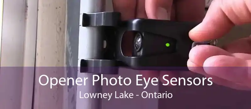 Opener Photo Eye Sensors Lowney Lake - Ontario