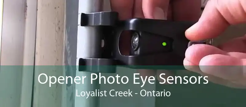Opener Photo Eye Sensors Loyalist Creek - Ontario