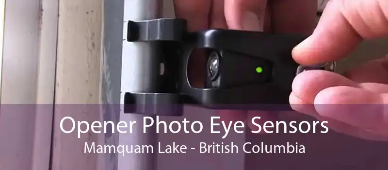 Opener Photo Eye Sensors Mamquam Lake - British Columbia