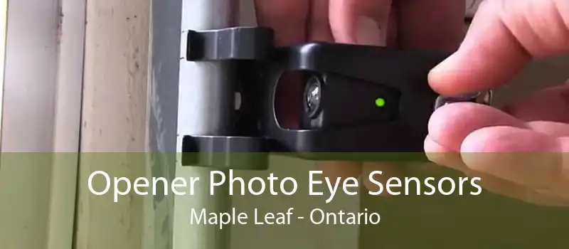 Opener Photo Eye Sensors Maple Leaf - Ontario