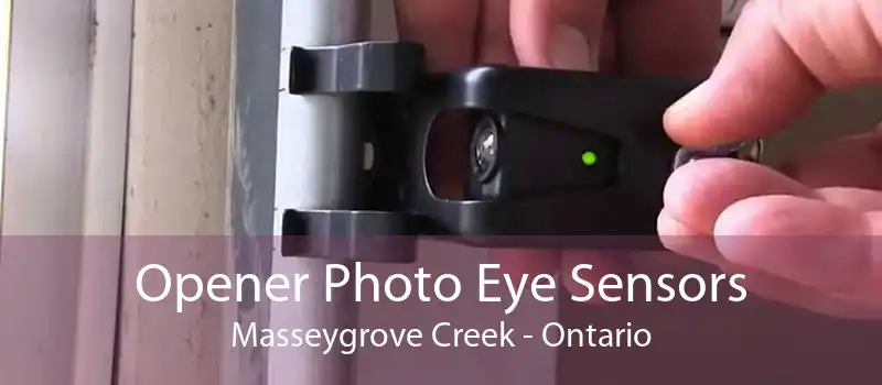 Opener Photo Eye Sensors Masseygrove Creek - Ontario