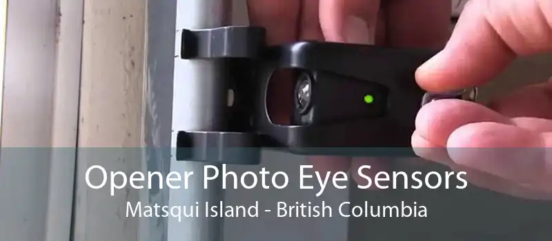 Opener Photo Eye Sensors Matsqui Island - British Columbia
