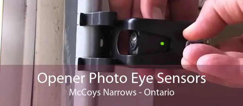 Opener Photo Eye Sensors McCoys Narrows - Ontario