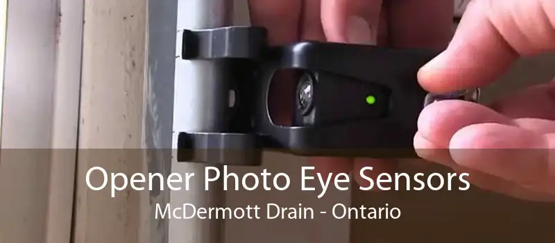 Opener Photo Eye Sensors McDermott Drain - Ontario